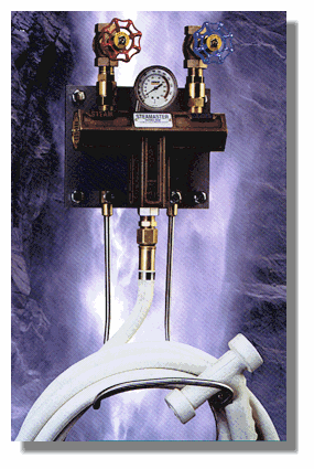 Steamaster 2000 with hose hanger, hose and nozzle